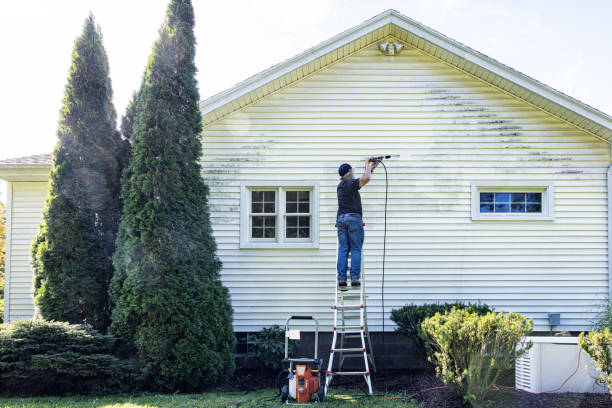 Best Sign and Awning Cleaning  in Mount Olive, IL