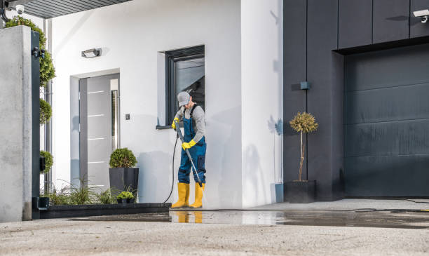 Best Pre-Holiday Cleaning  in Mount Olive, IL
